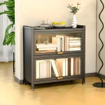 black storage cabinet in Sri Lanka, black metal bookshelf, 2 layer cabinet with acrylic doors, modern cabinet in Colombo, display rack for office, book storage shelf in Sri Lanka, racks.lk black cabinet