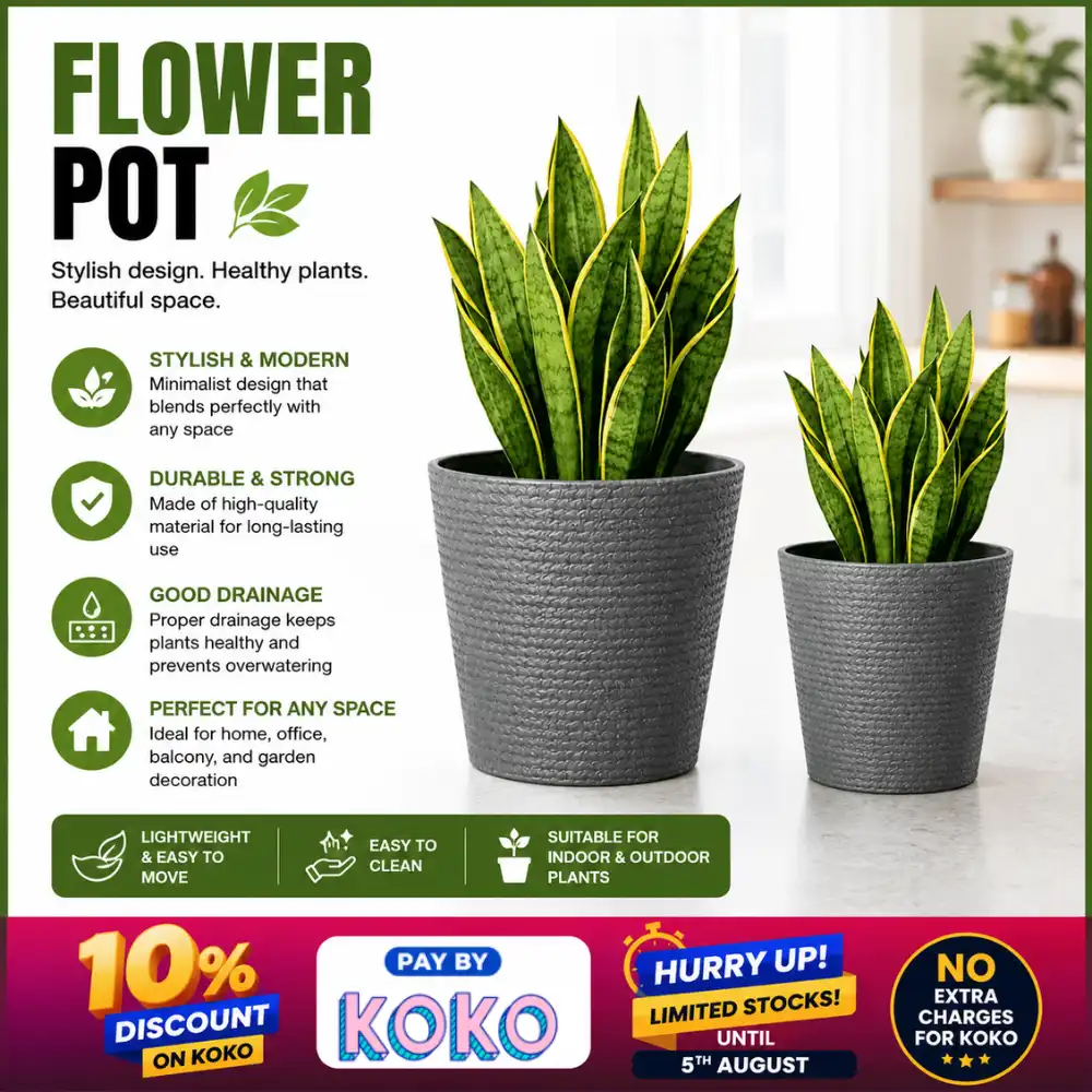 Best-plant-pots-for-home-decor-Sri-Lanka INDOOR & OUTDOOR FLOWER POTS | POTTED HOME DECOR PLANTERS - Image 1