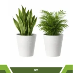 FLOWER POTS | INDOOR AND OUTDOOR PLANTERS - Image 3
