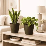 FLOWER POTS & PLANTERS | WATER RESISTANT INDOOR AND OUTDOOR PLANT POTS - Image 4