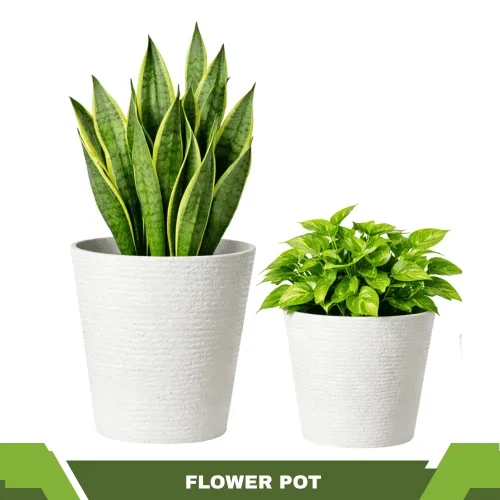 FLOWER POTS