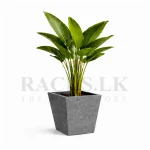 SQUARE SHAPE FLOWER POT - INDOOR & OUTDOOR PLANTER - Image 10