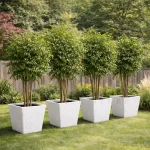 LARGE SQUARE PLANT POT - FLOWER POT FOR INDOOR AND OUT DOOR - Image 12