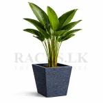 SQUARE SHAPE FLOWER POT - INDOOR & OUTDOOR PLANTER - Image 11